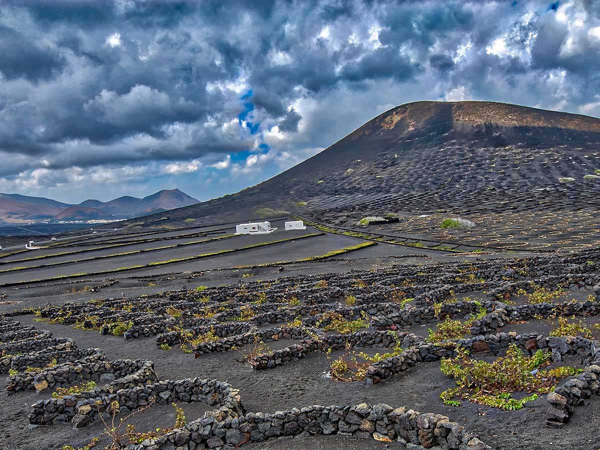 La Geria · Ruta del Vino