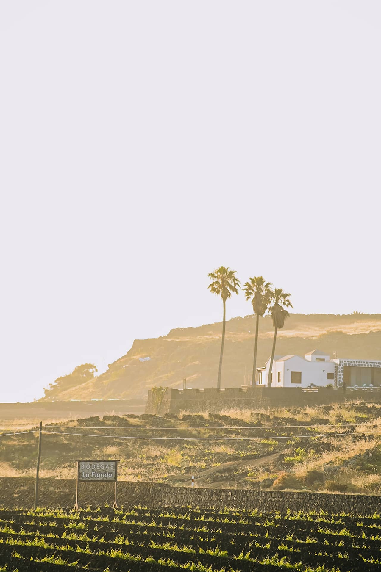 Bodegas La Florida